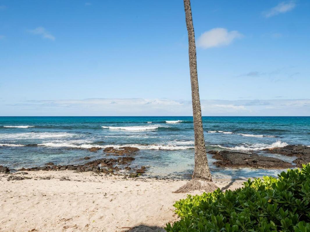 Oceanfront 1 Bedroom 2 Bathroom With Large Lanai - Kona Bali Kai 218 Kailua-Kona Bagian luar foto